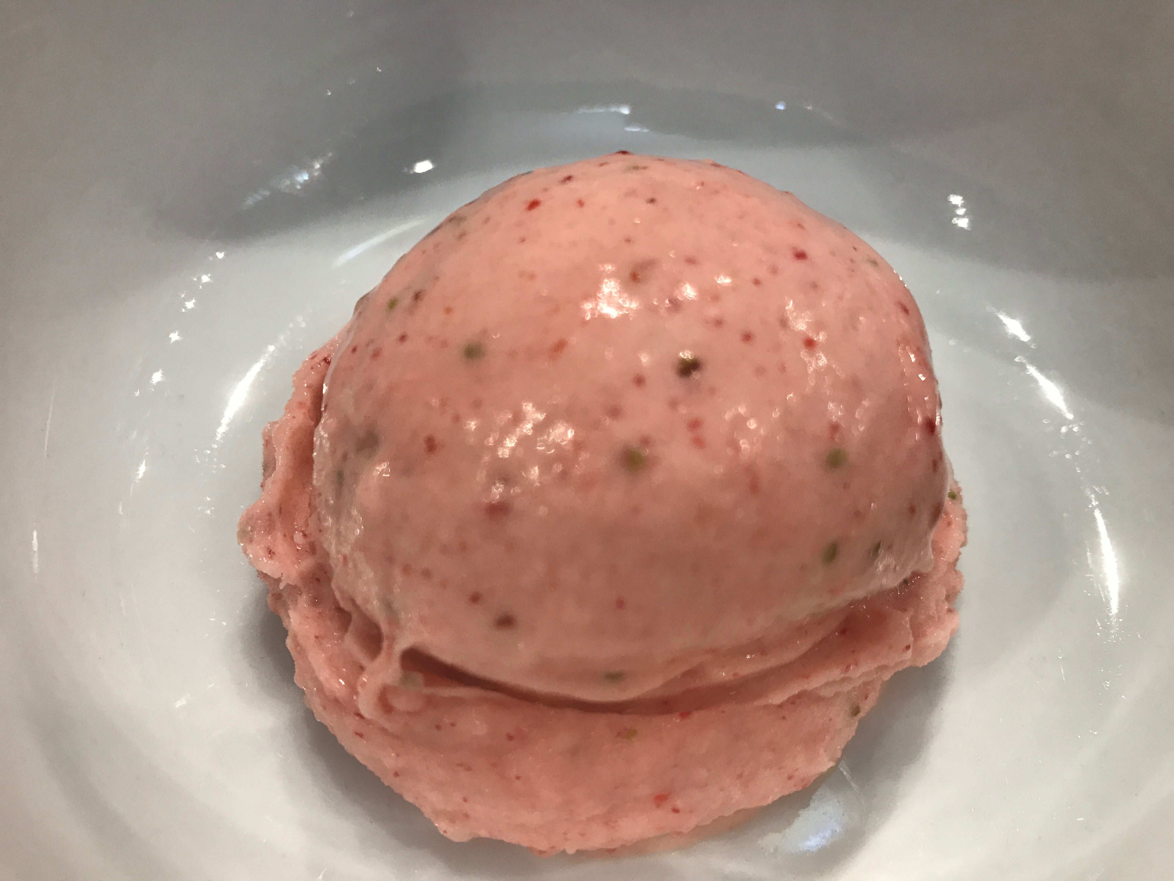 Fruit Frozen Custard Vegan Frozen Custard Vegan N'Ice Cream