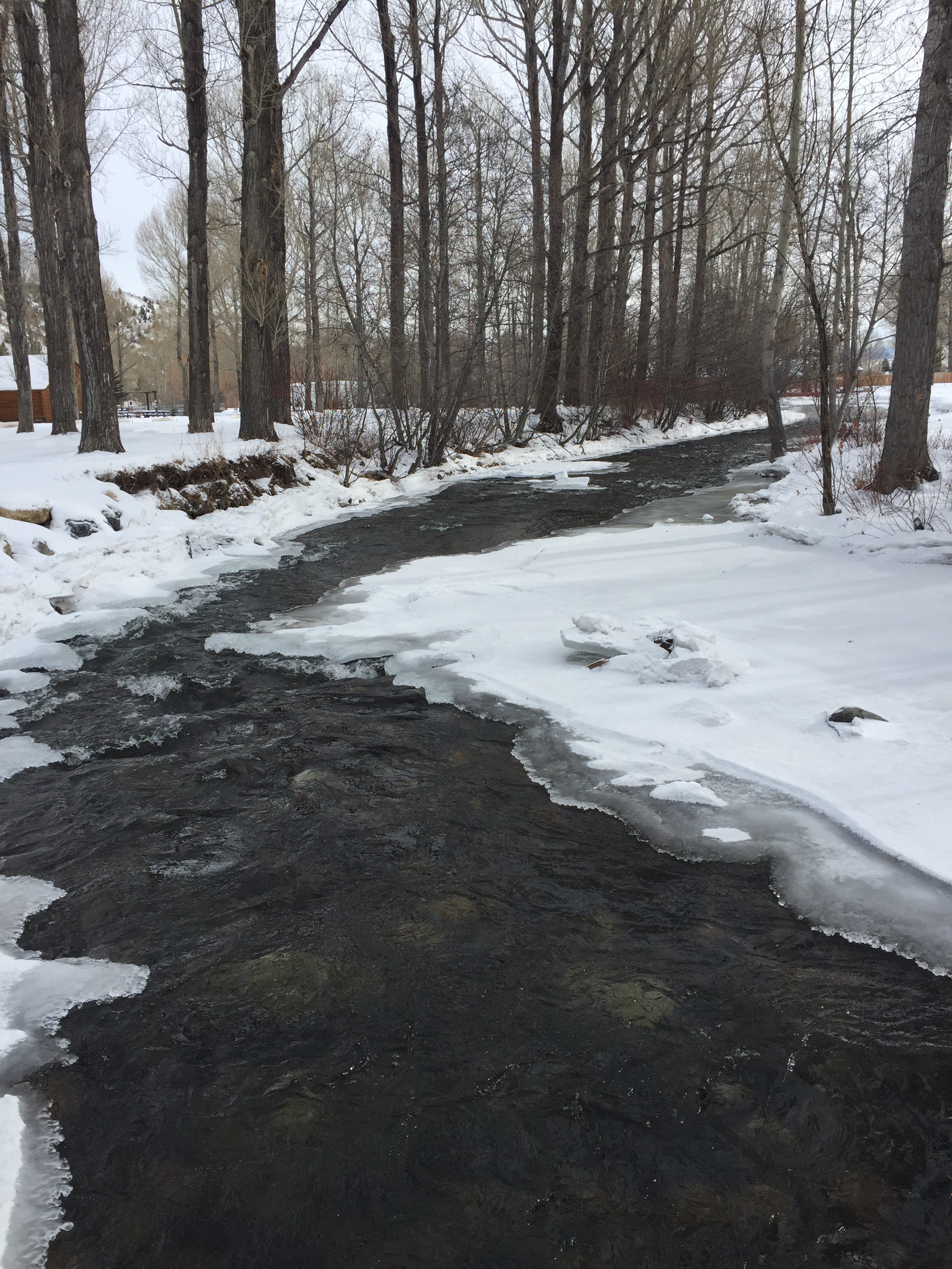 Washoe Park, Anaconda Renegade Family Adventures