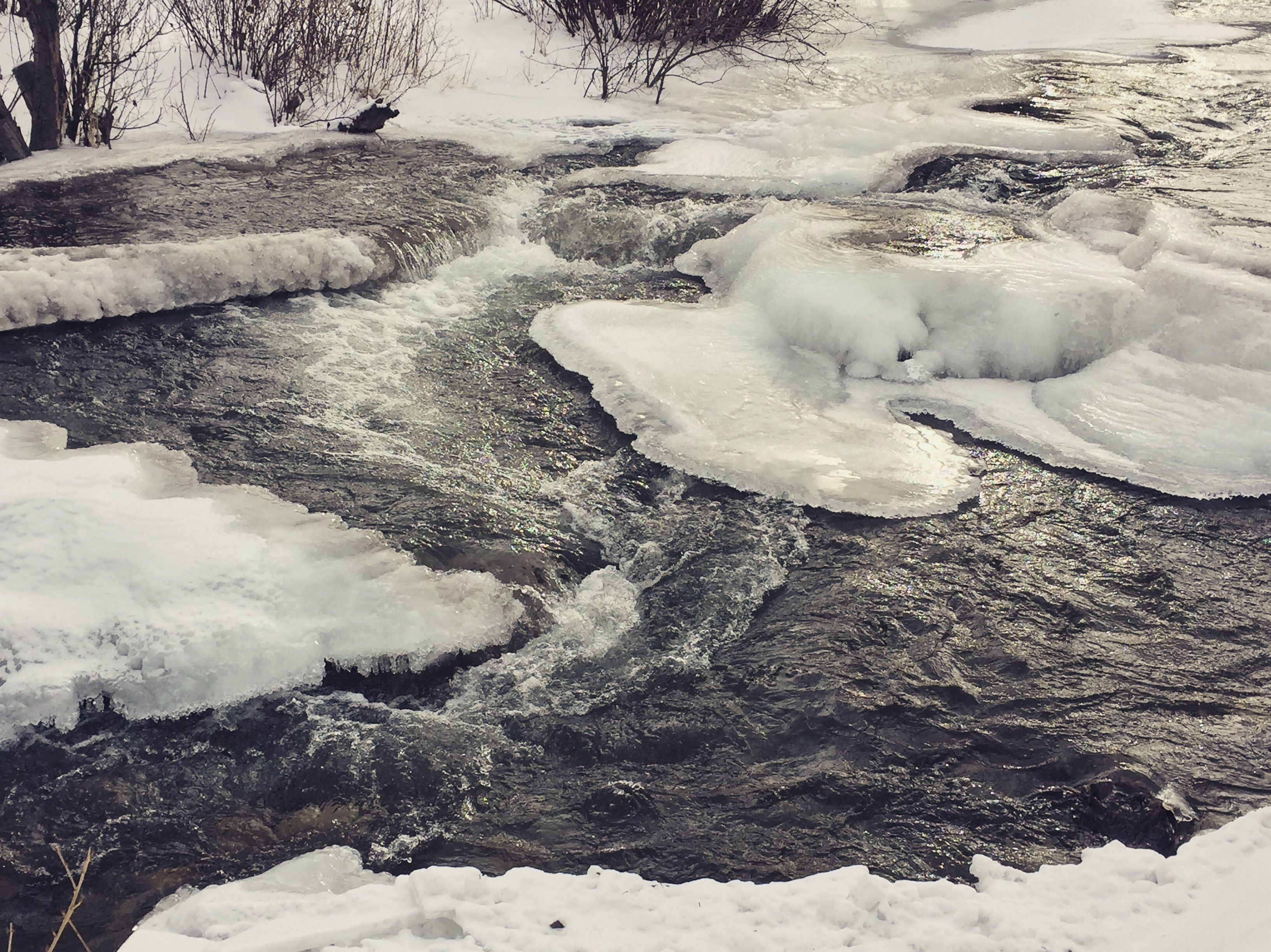 Washoe Park, Anaconda Renegade Family Adventures