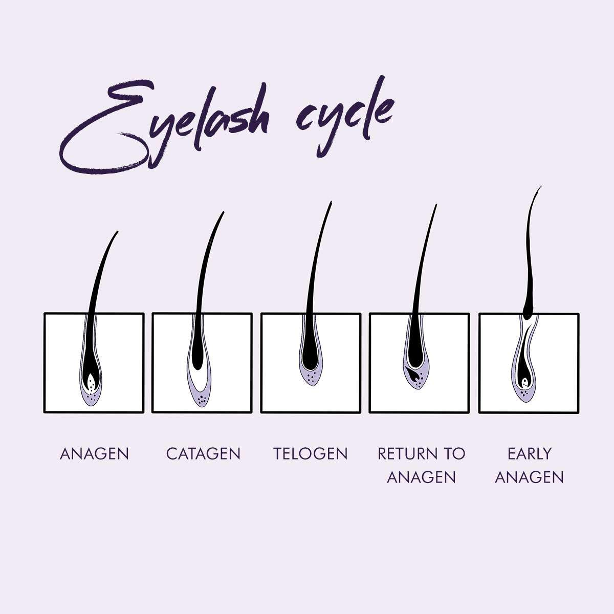 Lash Infills and Why You Need Them Nouveau Lashes