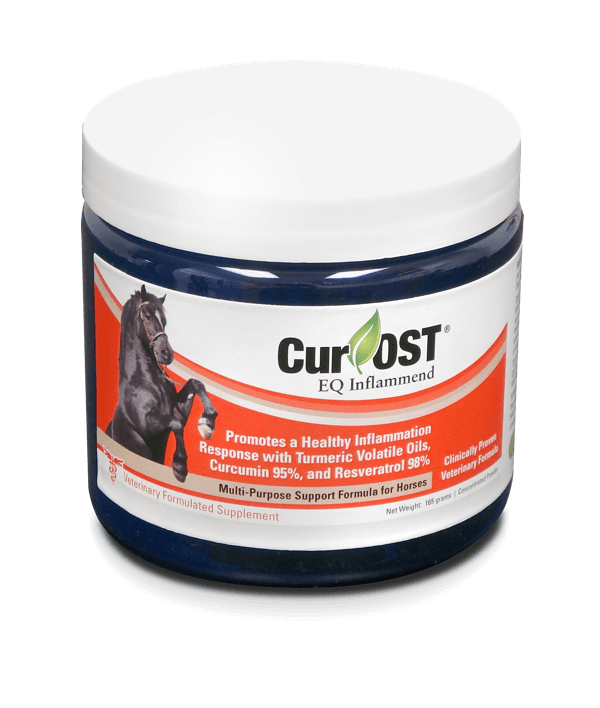 CurOST EQ Inflammend Curcumin and Resveratrol For the Horse