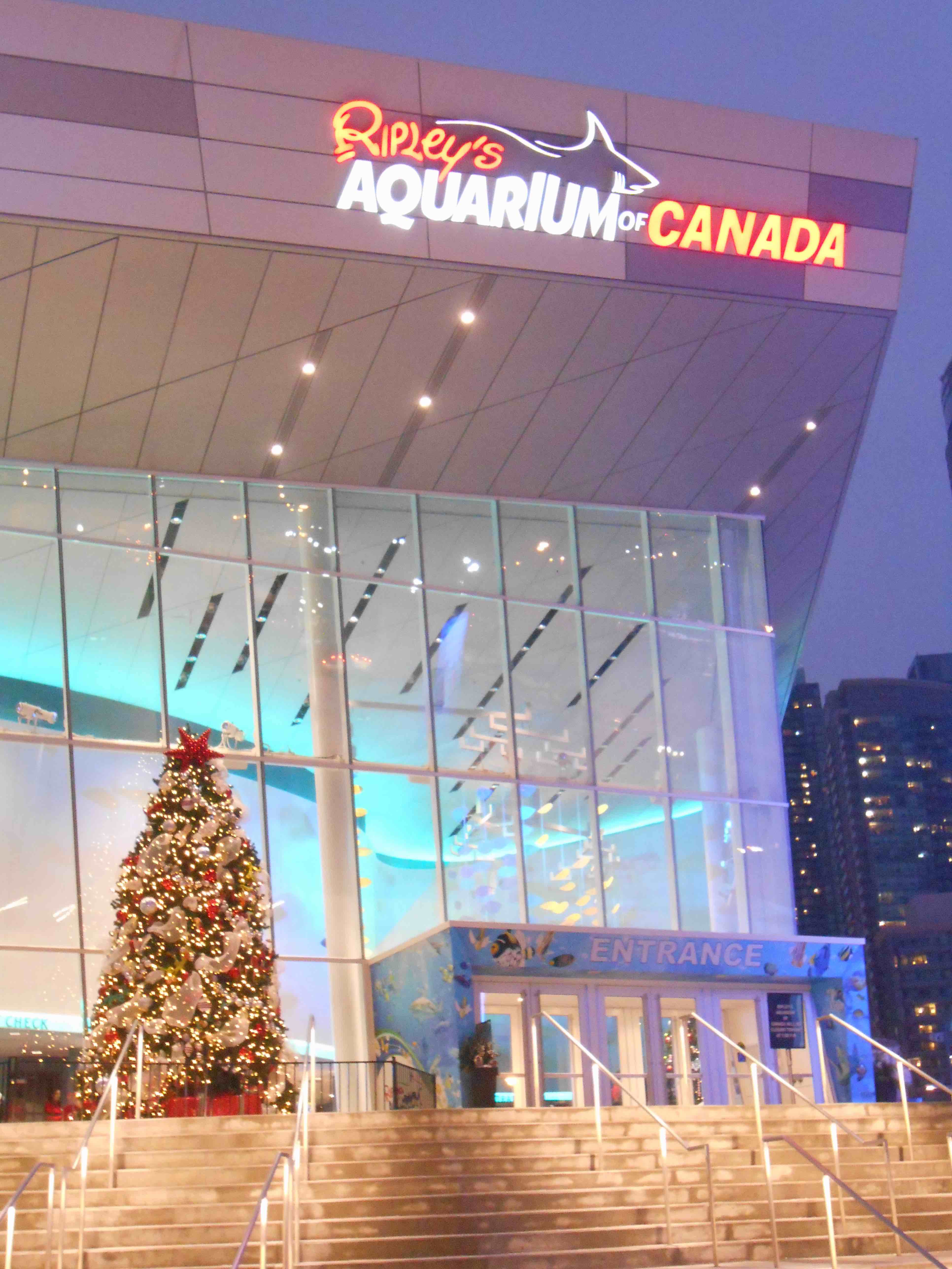 Samedi 13 décembre : Fin Toronto et début Niagara falls. | Nouvelles à 6000 km de vous