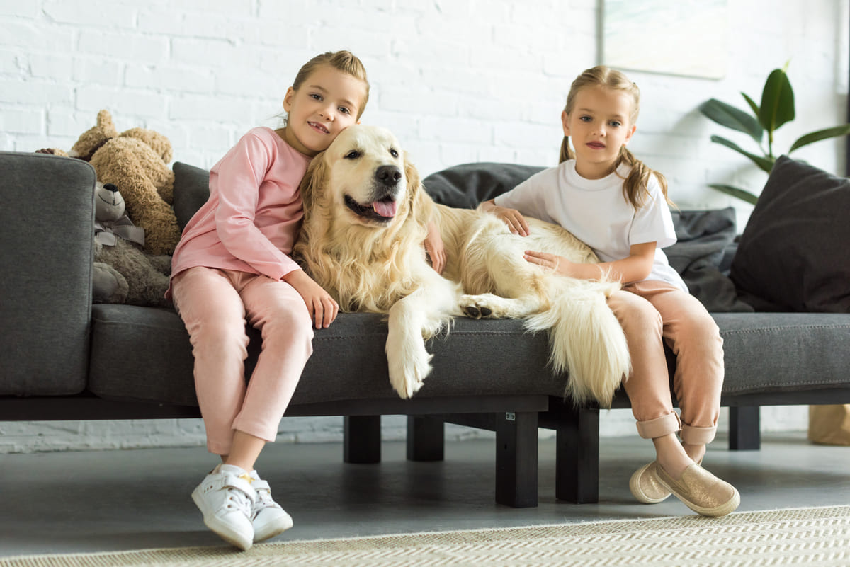 Pet Deposits For Apartments Everything You Need to Know Nova Asset