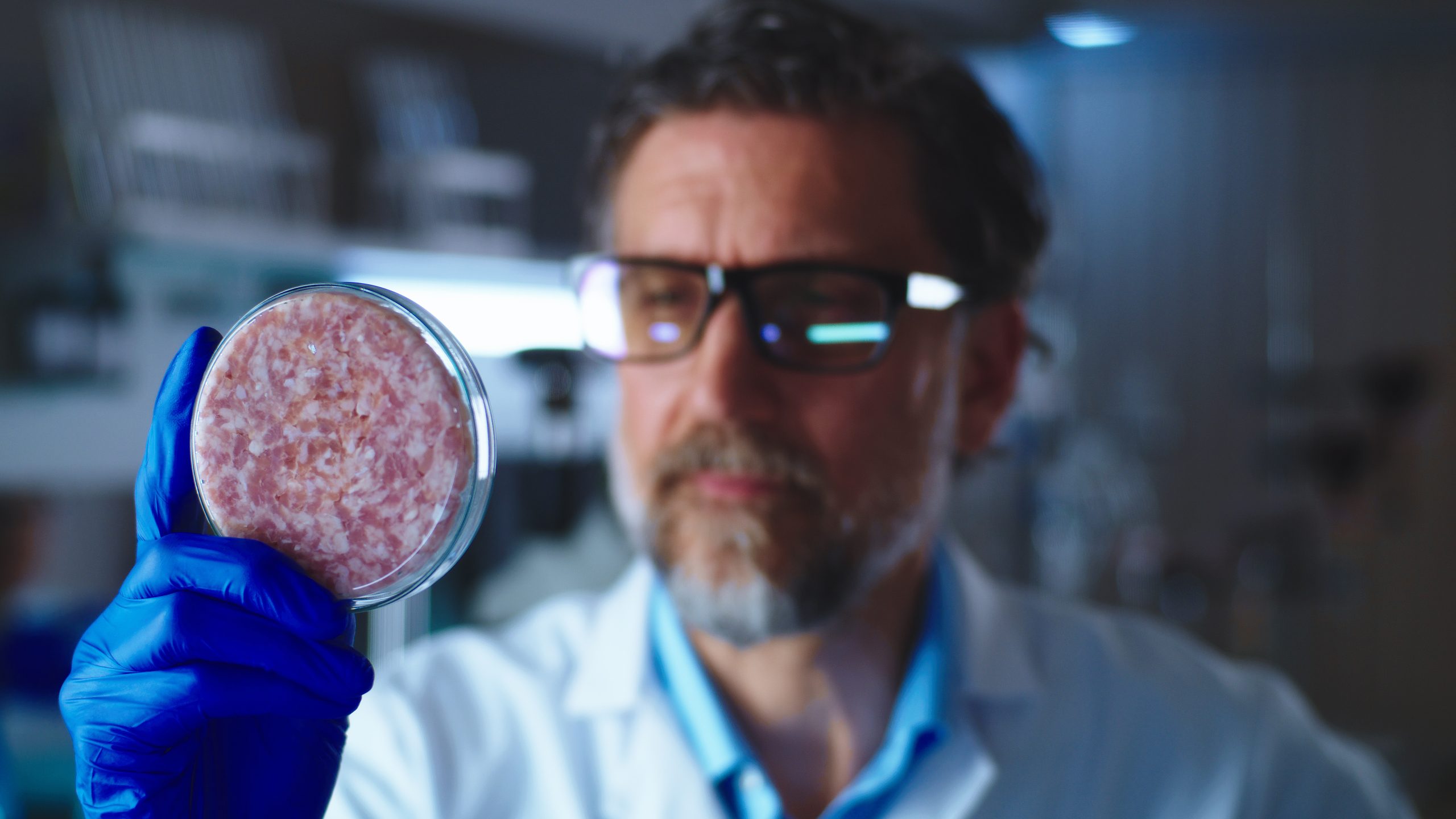 5 innovative solutions in the labgrown meat industry Novable