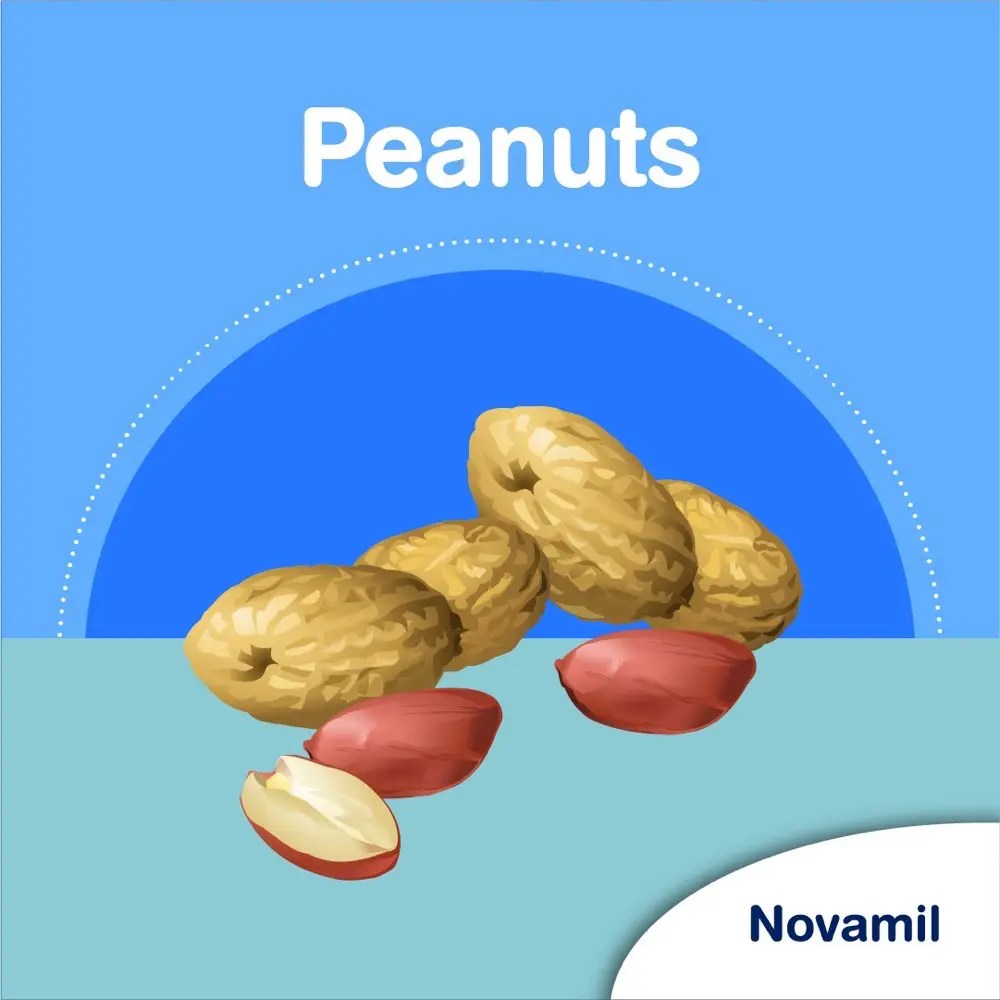 8 Common Food Allergies Parents Should Know Novamil