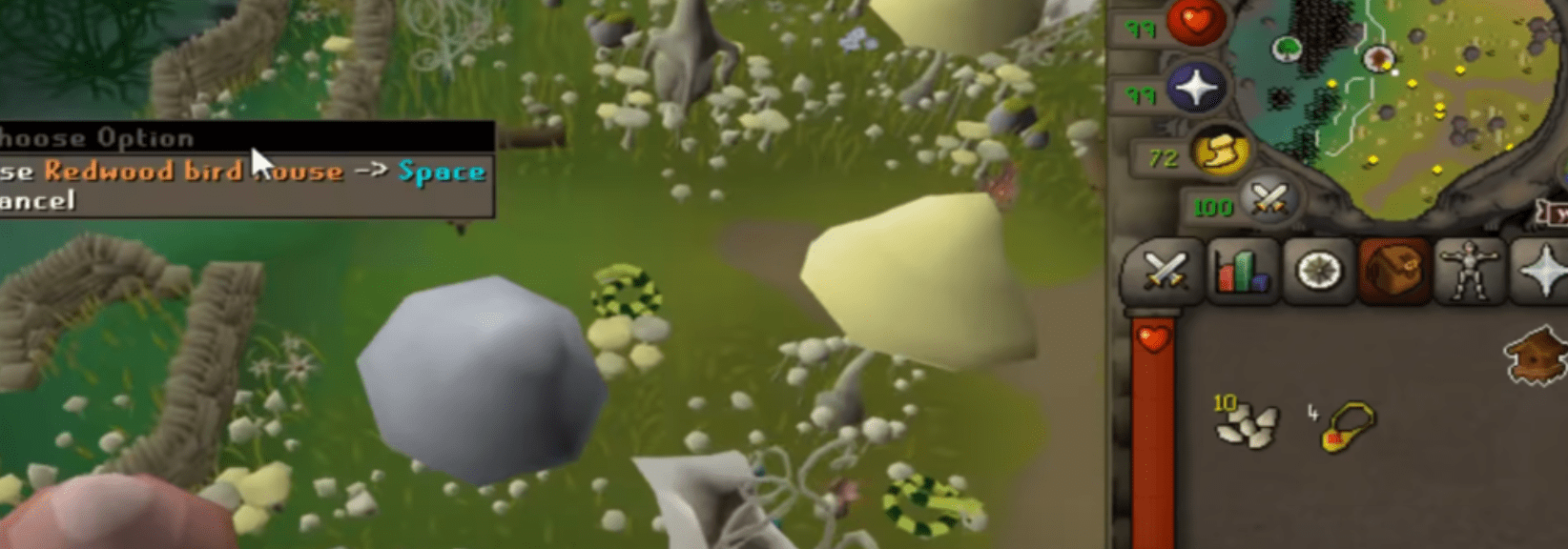 OSRS Best AFK Hunter Methods 199 Hunter Guide NovaMMO