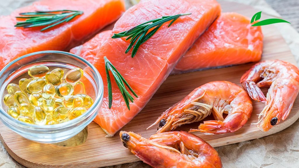 Guía del OMEGA 3, 6 Y 9 ¡TODO lo que NECESITAS saber!