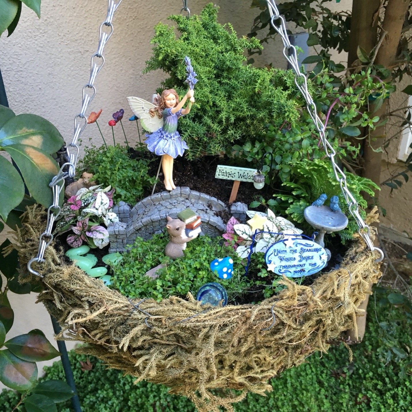 Novels Alive GUEST BLOG Why Write Fairy Gardens? by Daryl Wood