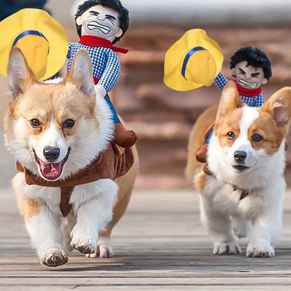 Small And Large Dog Costumes For Every Occasion NoveltyStreet