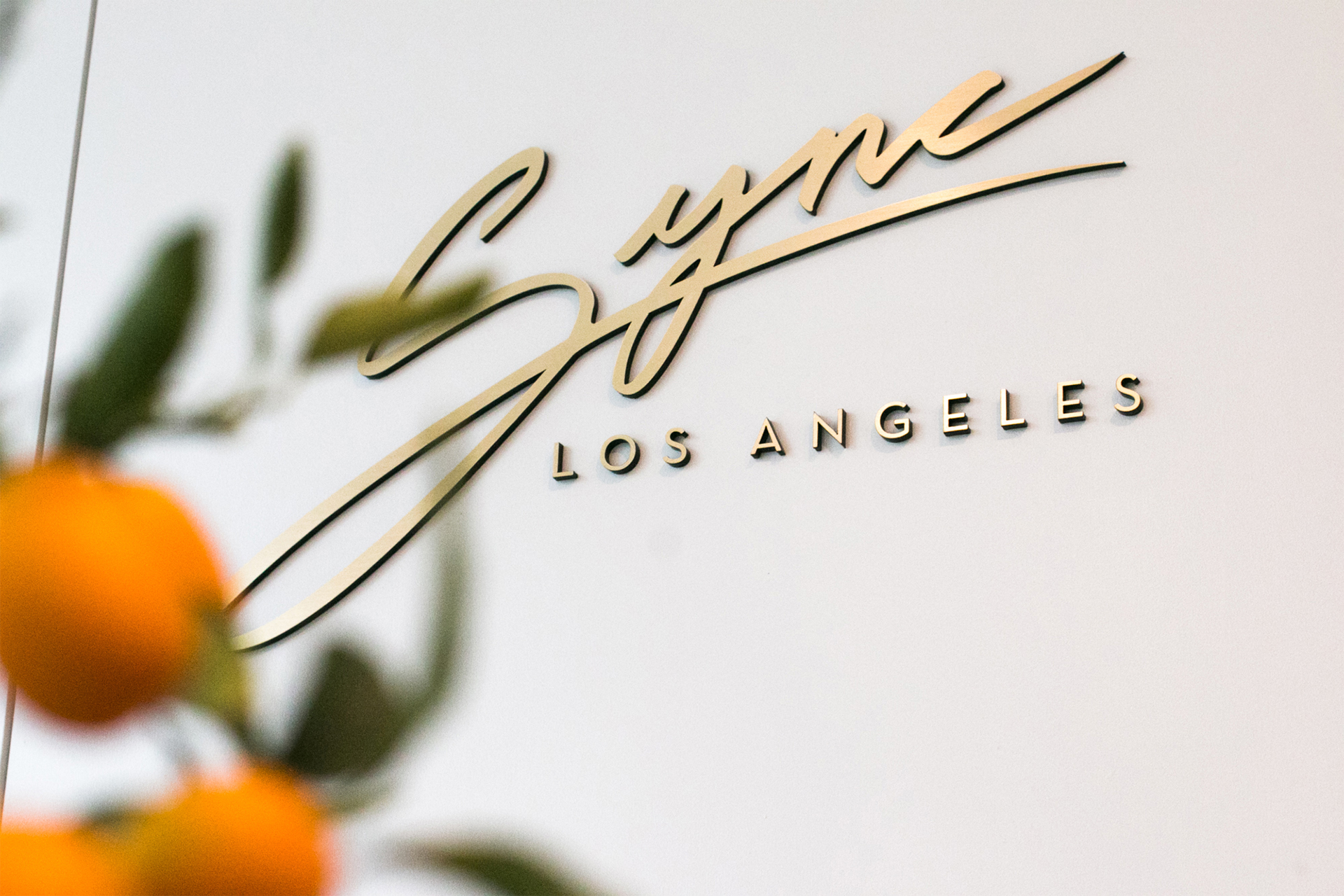 Sync Yoga + Cycle November Press