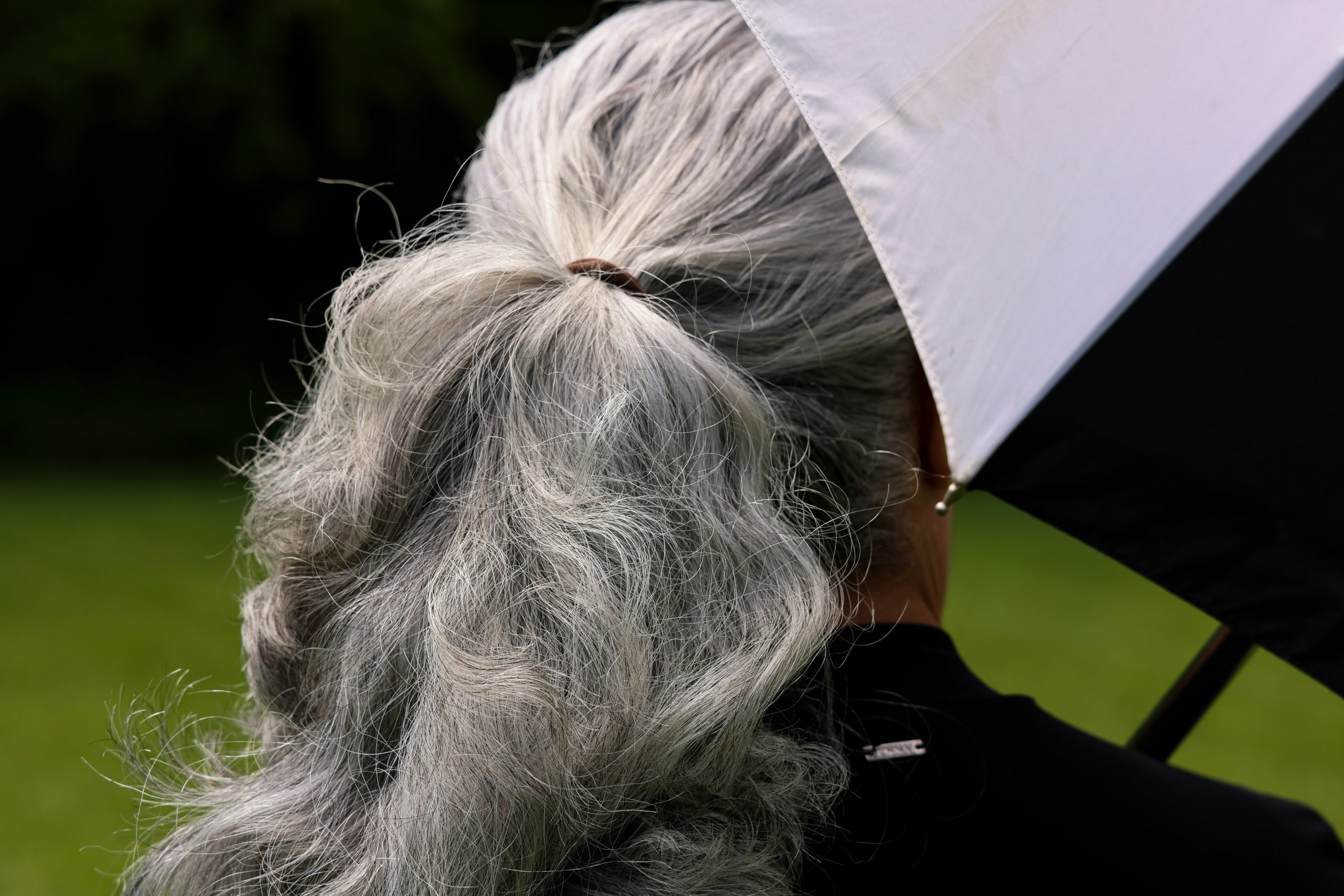 Nutrients That May Slow Premature Graying Nutrients That May Slow Premature Graying