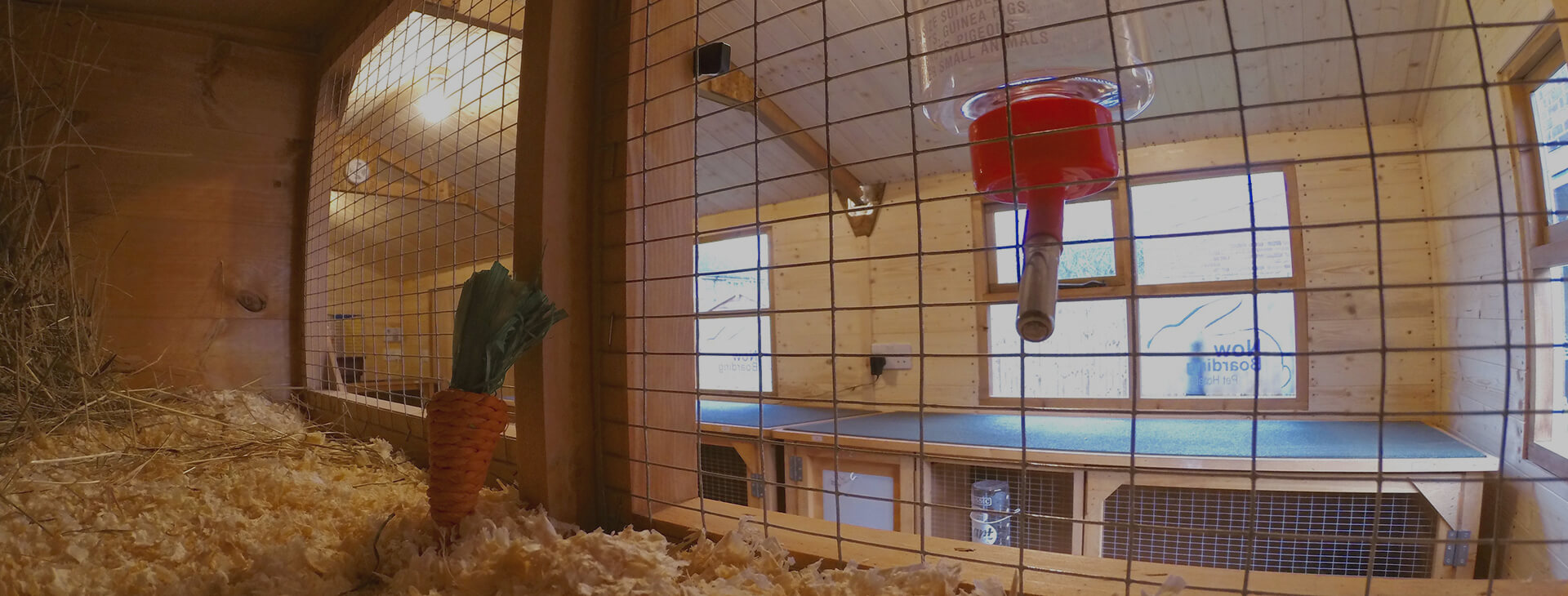 Now Boarding Pet Hotels