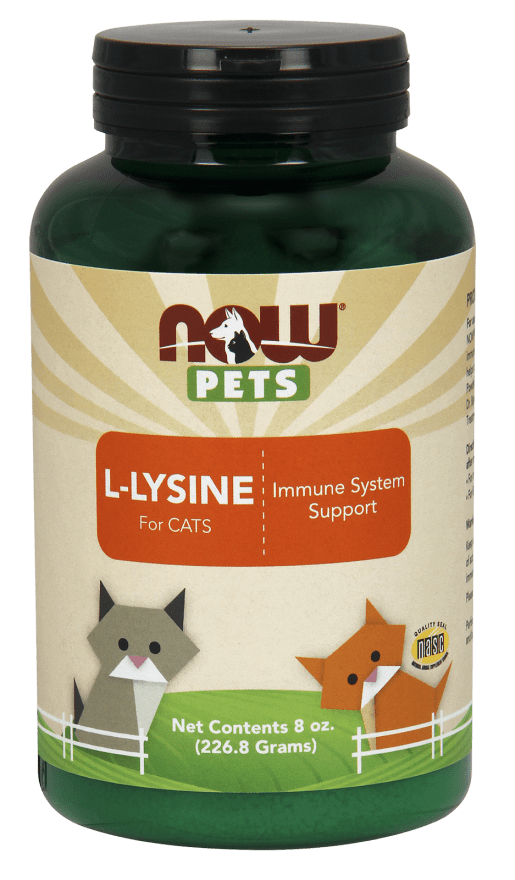 NOW® Pets LLysine Pure Powder NOW