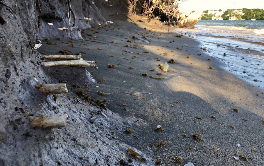 Human remains discovered on beach do not belong to 1983 victims NOW