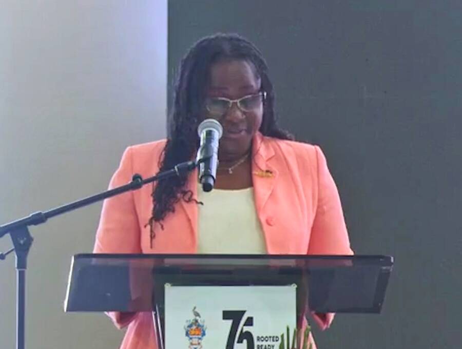 Enforcing intellectual property rights in Grenada and OECS NOW Grenada