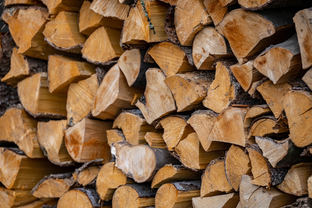 Forest firewood permits now available online Now Habersham