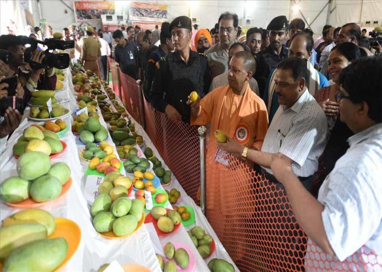 CELEBRATE ALL THINGS MANGO AT THE LUCKNOW AAM MAHOTSAV ORGANISED BY U.P