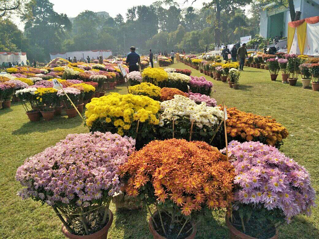 SAVE THE DATES FOR THE NBRI FLOWER SHOWS IN LUCKNOW THIS WINTER Now