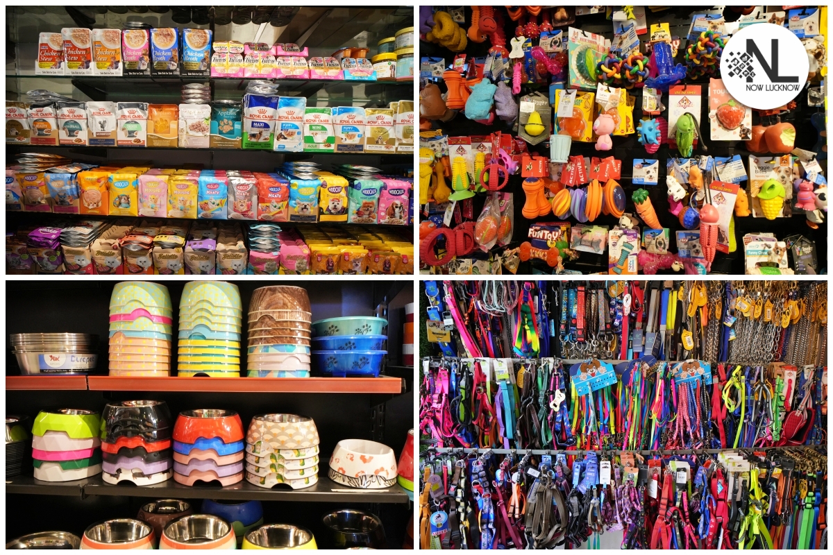 DOGS & PUPS THE LARGEST PET STORE IN ALL OF LUCKNOW! Now Lucknow