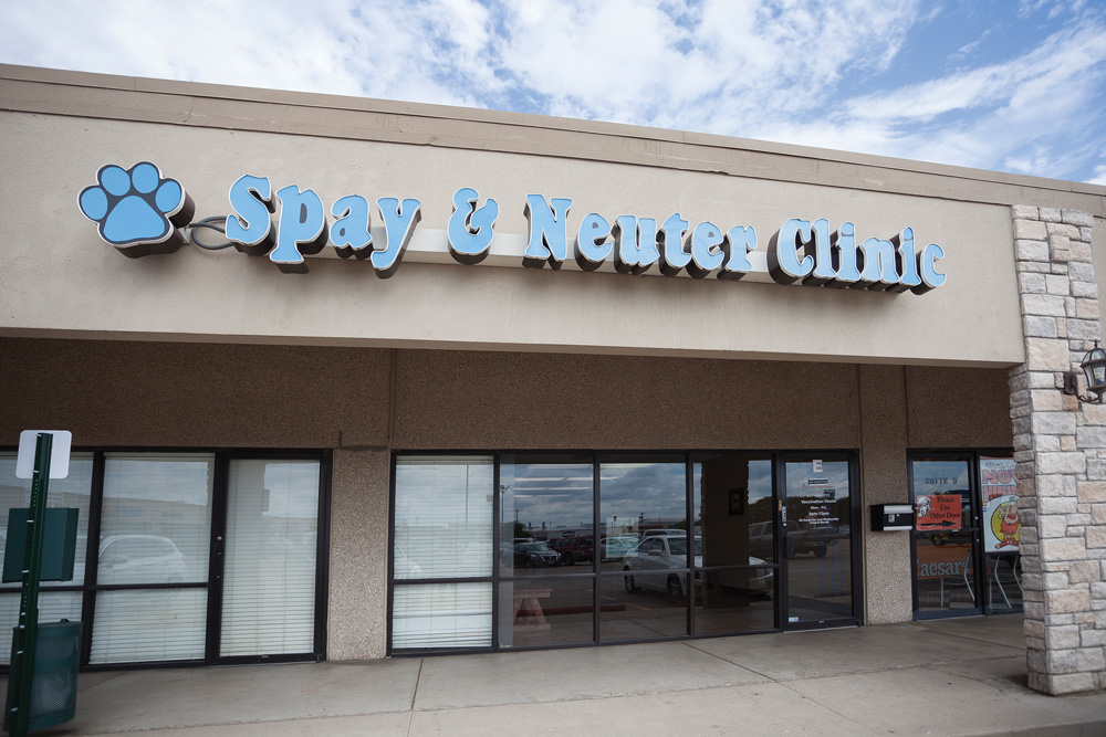 Texas Coalition for Animal Protection Provides Quality Pet Care Now