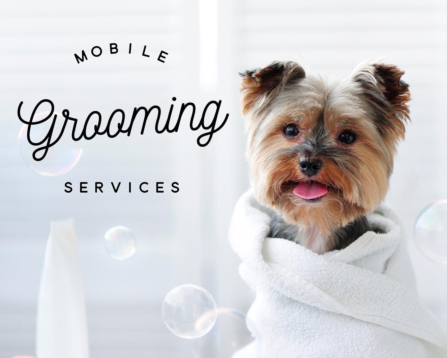 Mobile Grooming Services Pet Lovers of the Lehigh Valley, Unite!