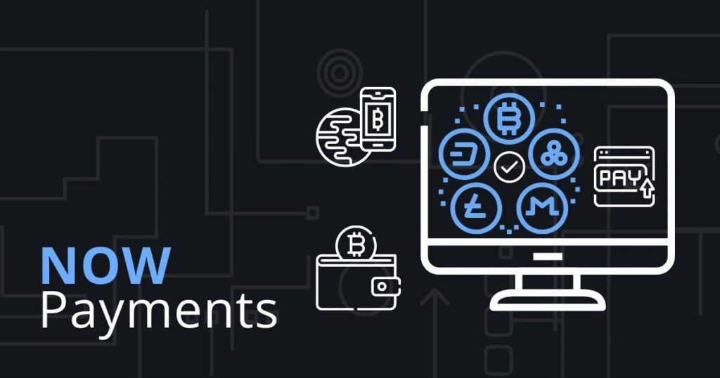 Crypto Payment Processor Explained NOWPayments