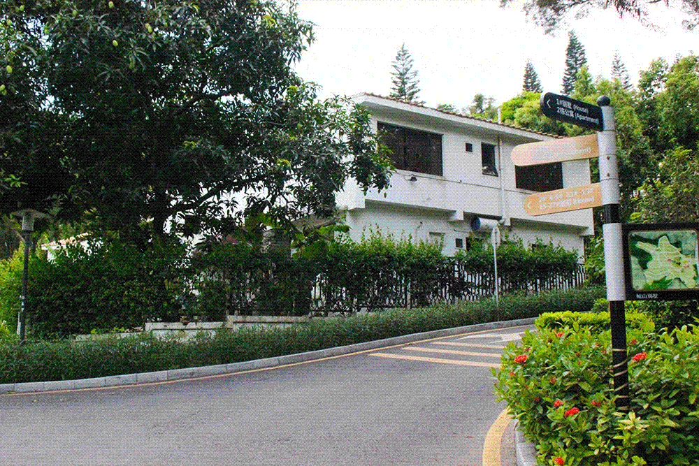 Jingshan Villas in Shekou Offers "Hometown Comfort" for Expats Now