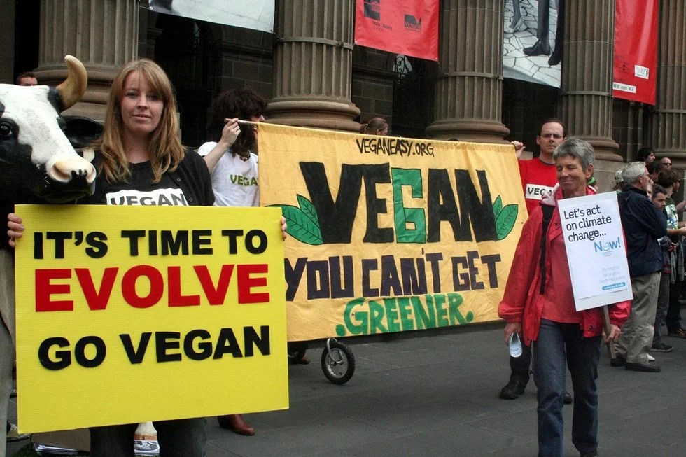 Opinion Why Im a vegan but dont consider myself an animal activist