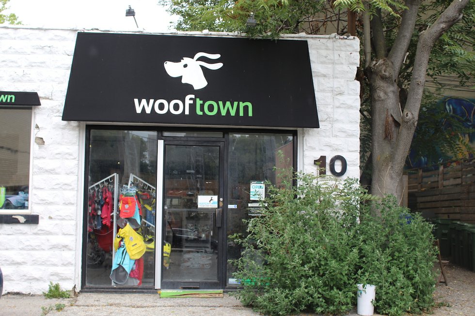 The best ecofriendly dog stores in Toronto NOW Magazine