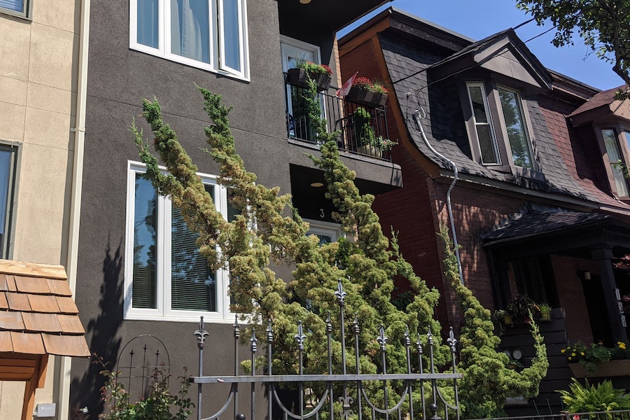 Toronto real estate market enters the second wave on a high