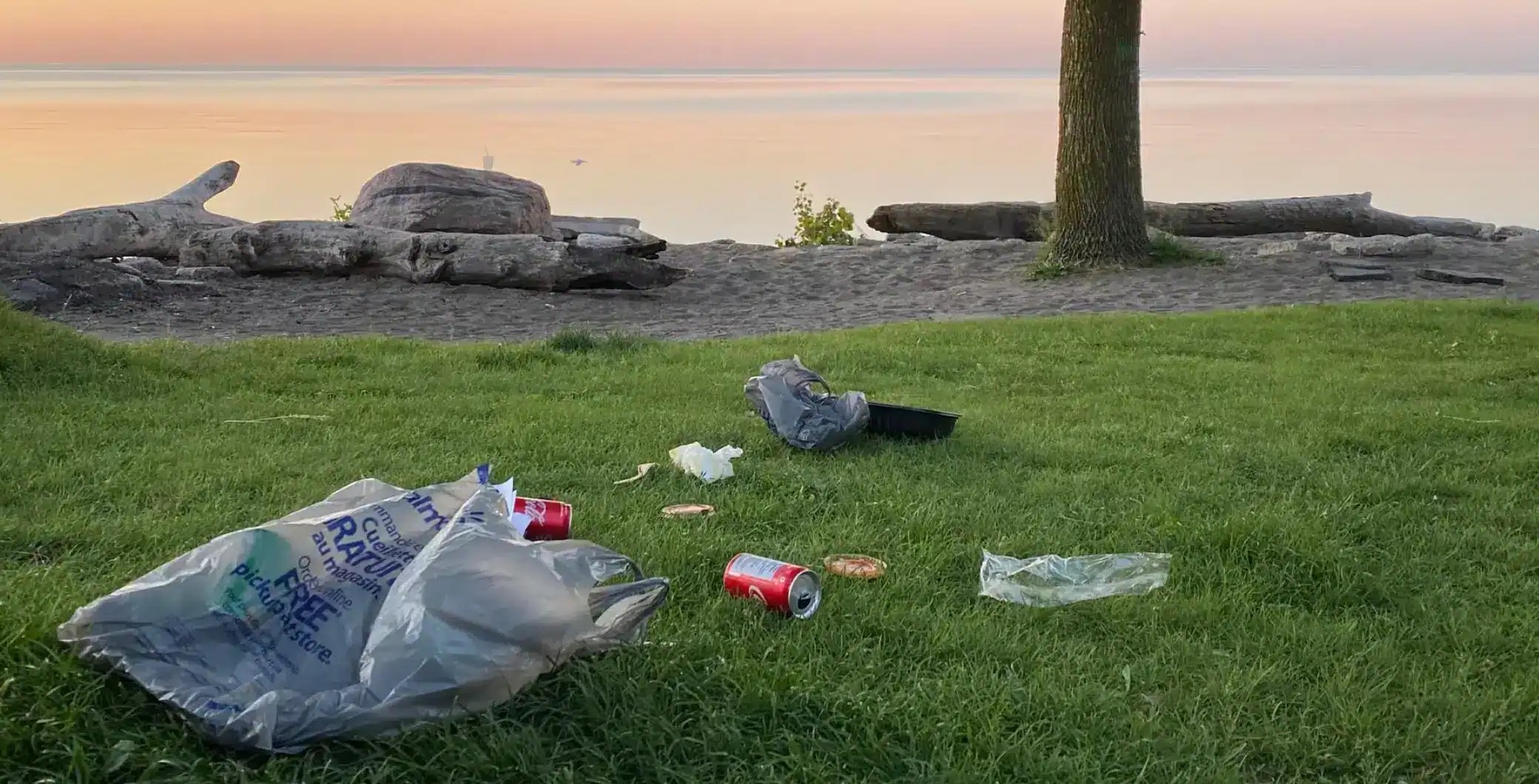 Toronto residents reminded to properly dispose their litter