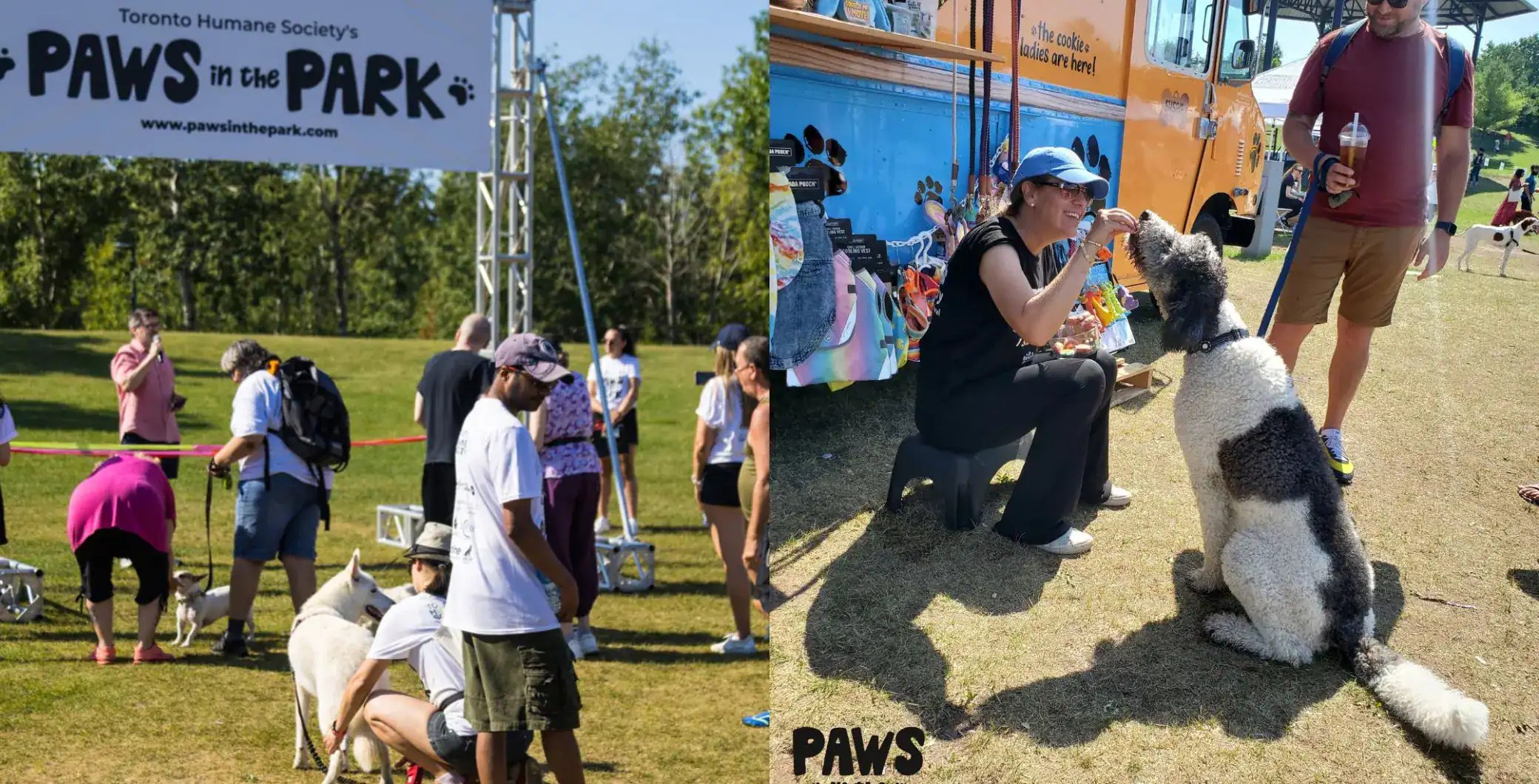 A puppy parade is coming to Woodbine Park this weekend NOW Toronto