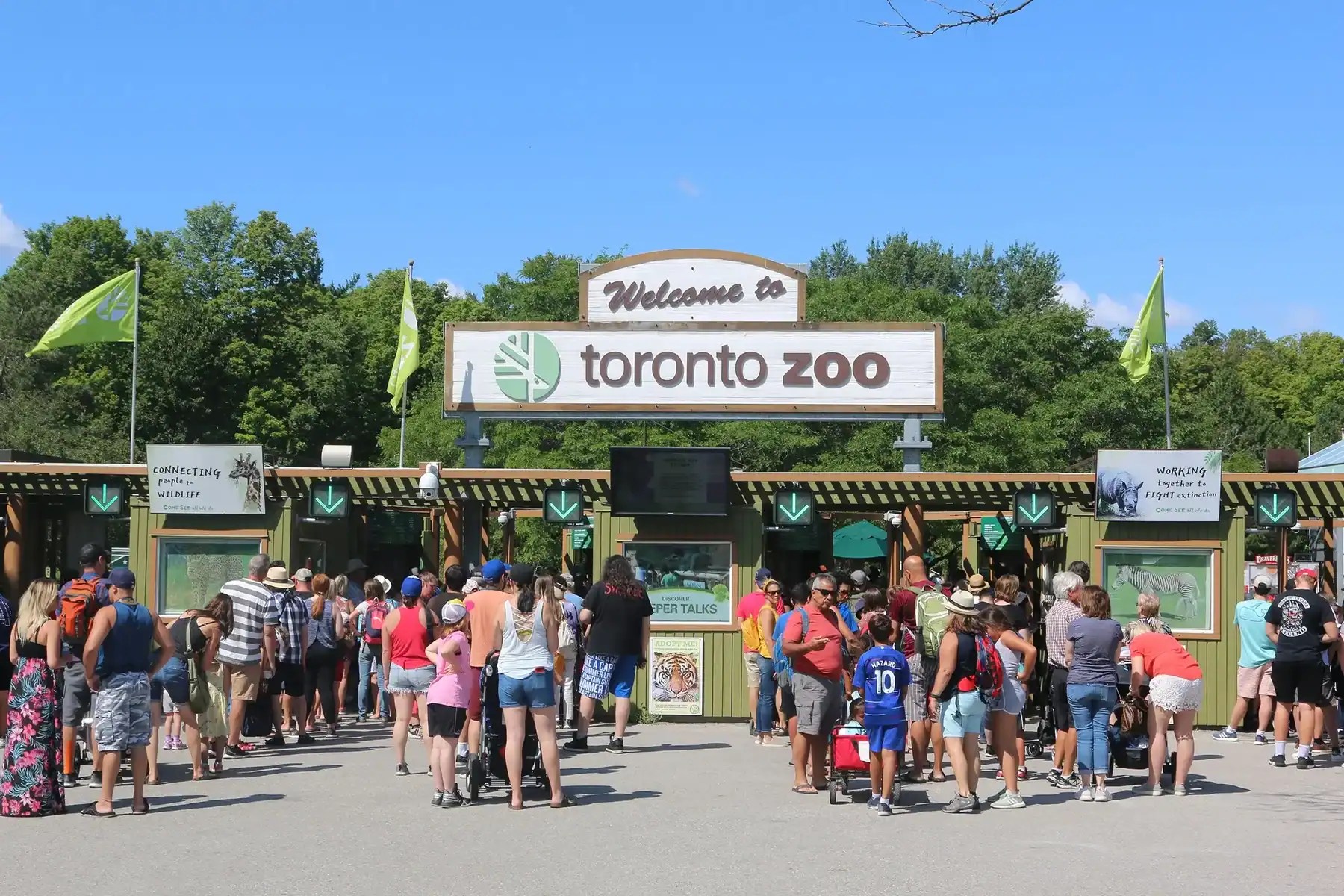 Ontario doctors can now prescribe day trips to the Toronto Zoo NOW Toronto