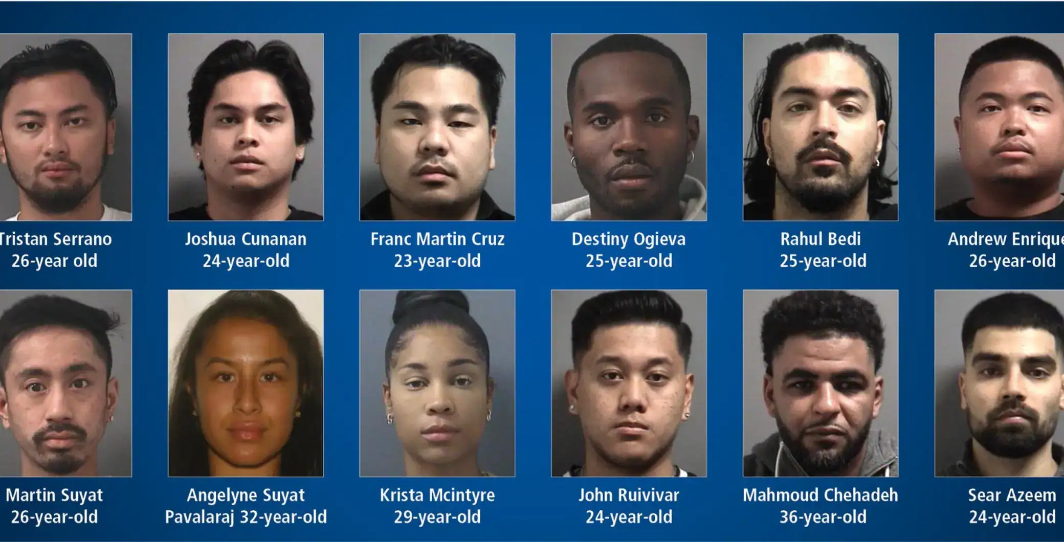 Peel police ‘hit the brakes’ hard on this auto theft ring after