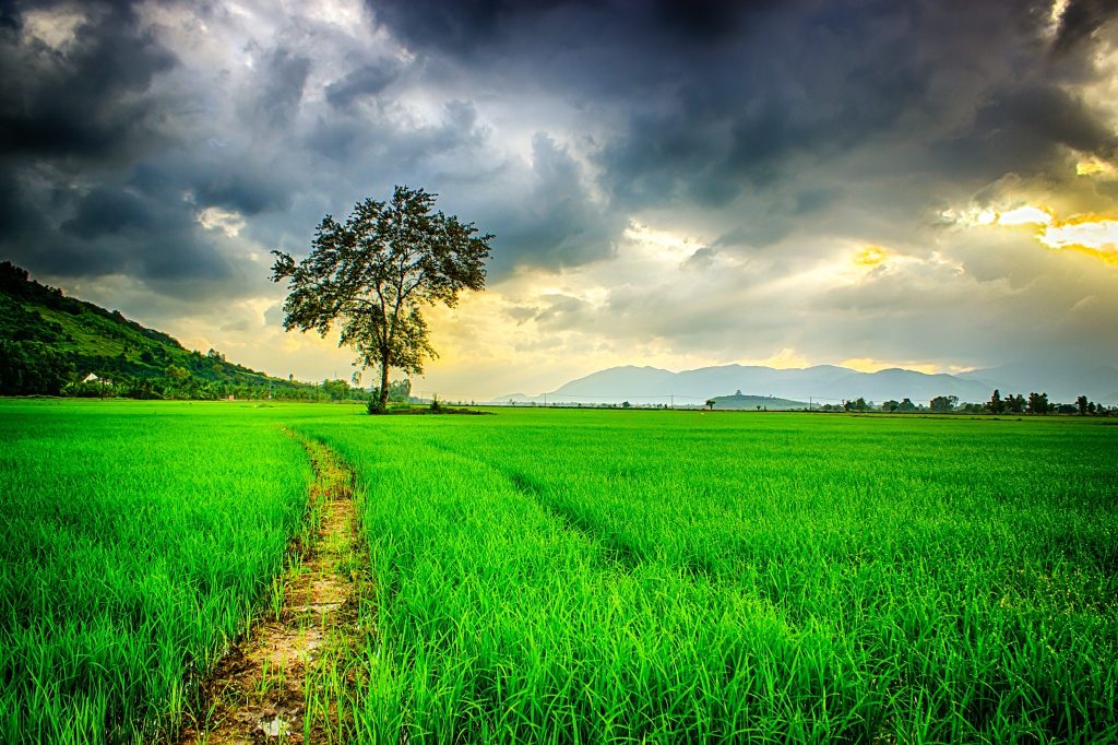 nature Now Watch