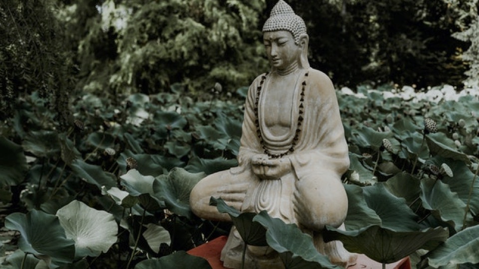What Can Buddhism and Minimalism Teach Us NowWithPurpose