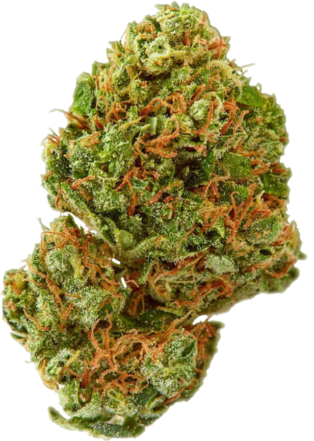 Recreational Dispensary, Weed Dispensary, Cannabis Dispensary