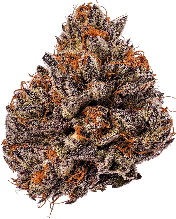 Recreational Dispensary, Weed Dispensary, Cannabis Dispensary