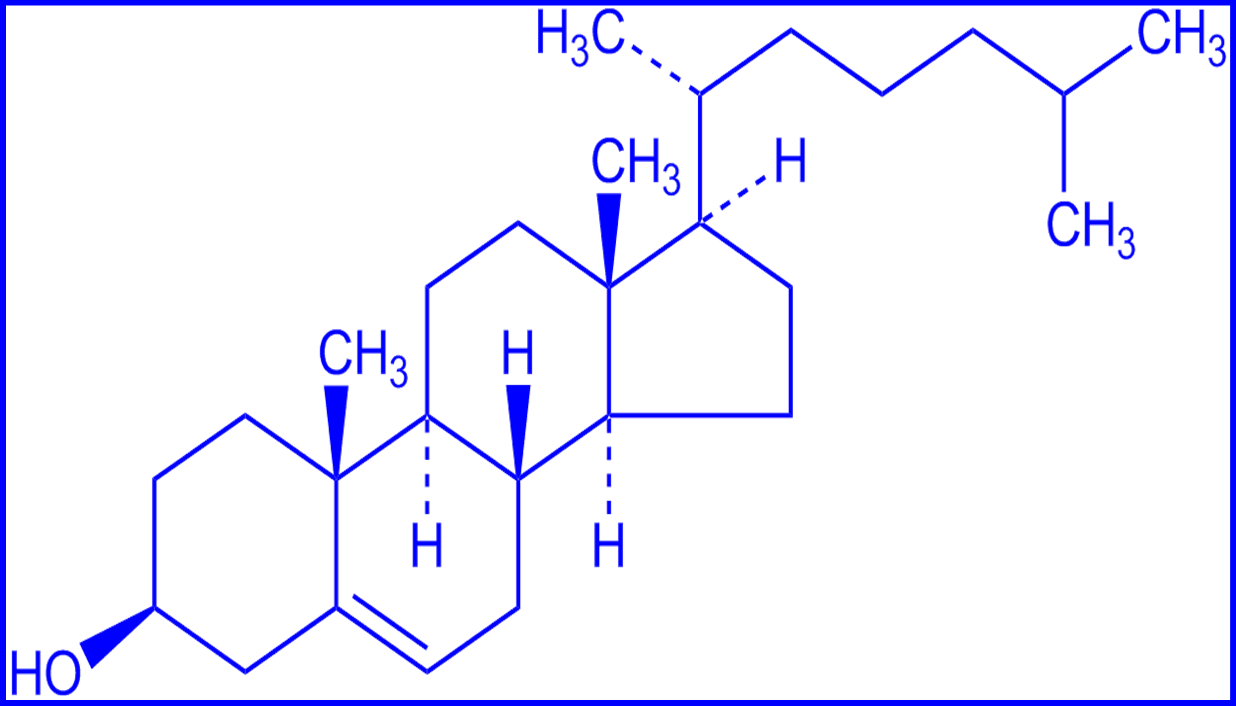 Analytical Laboratory Testing Laboratories