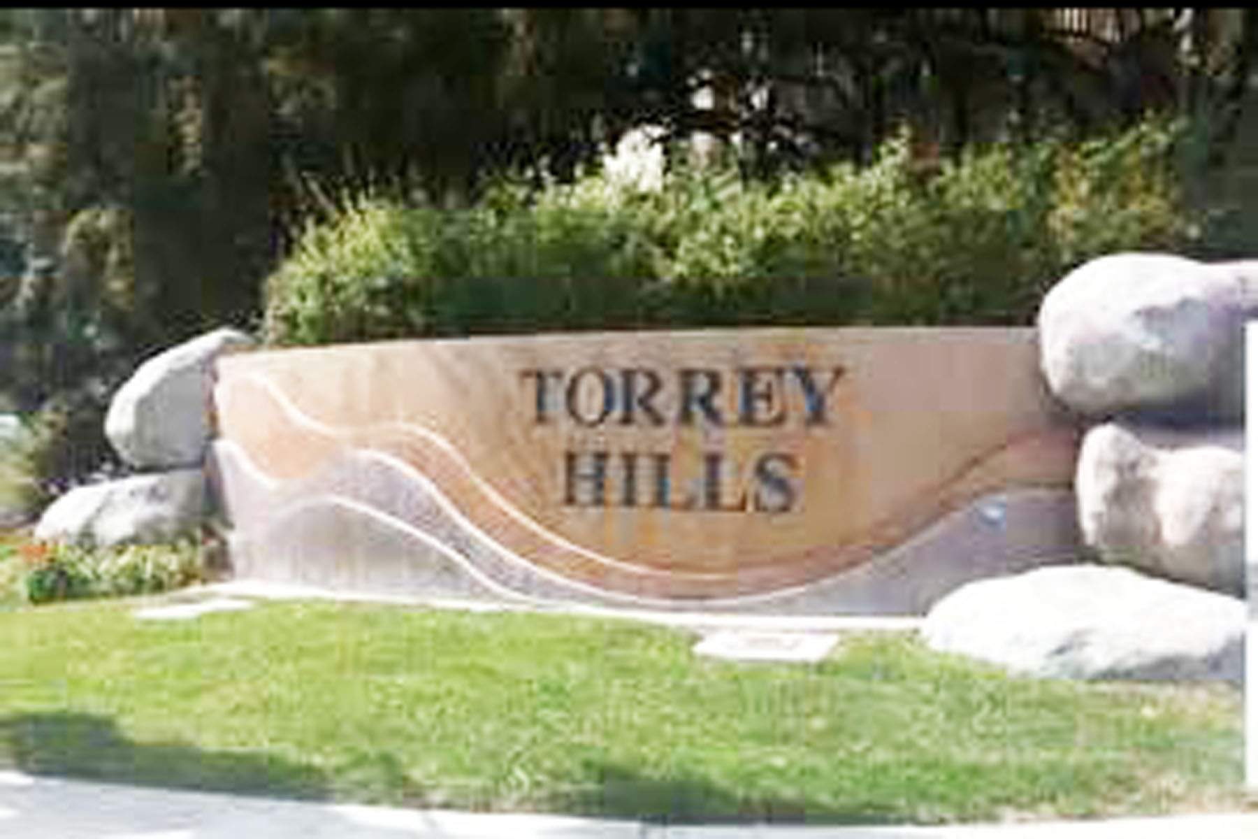 Torrey Hills NPDinc