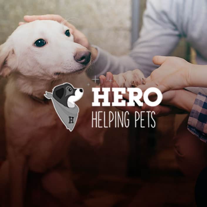 Hero Braces How we increased conversions by 286