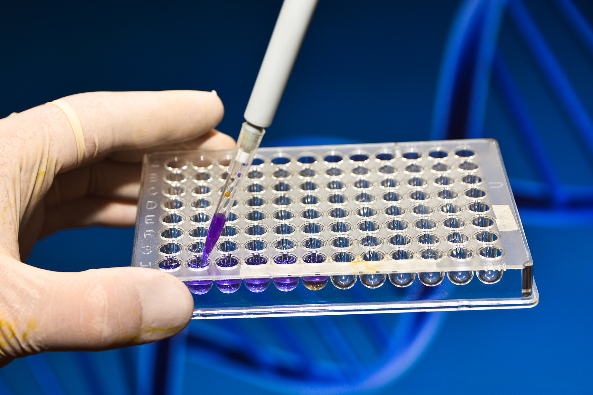 Scientists Have Found a Way to Reverse The Aging Process New Study