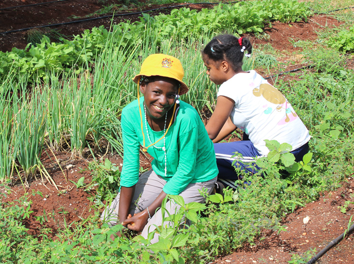 Support Sustainability at NPH Dominican Republic NPH USA