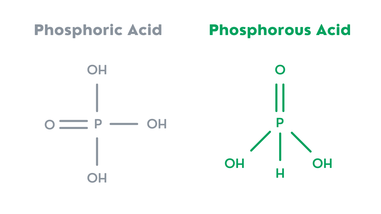 Phosphorous Acid True North Foliar