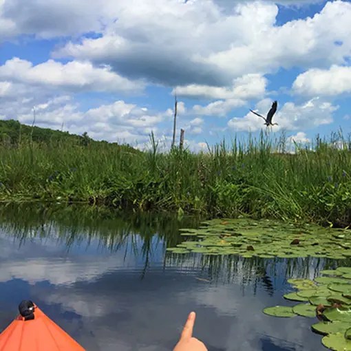 Wallkill Kayaking Rentals Kayak Rental Wallkill NY