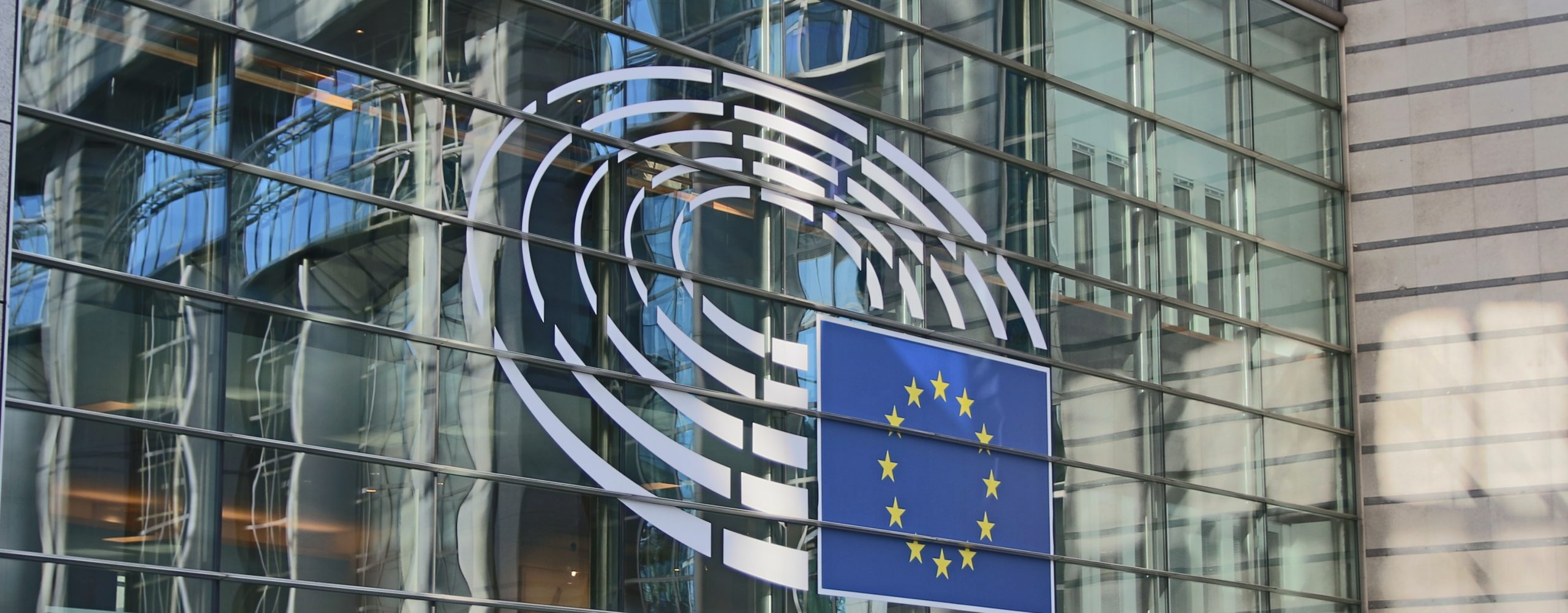 Impact of the Prudential Backstop on Bank’s Balance Sheet NPL Markets