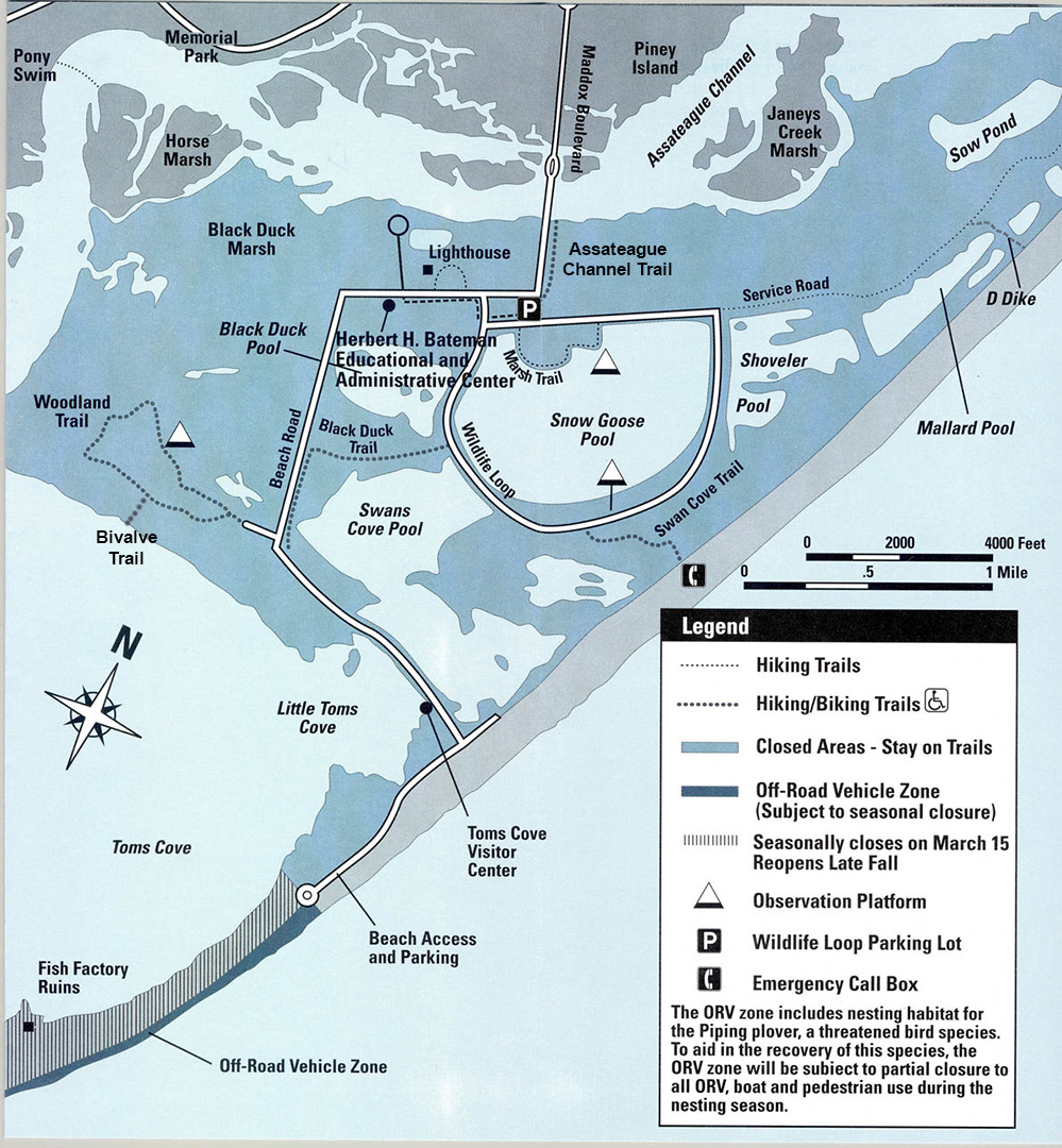 Assateague Beach Virginia Map Assateague Island National Seashore BIKING