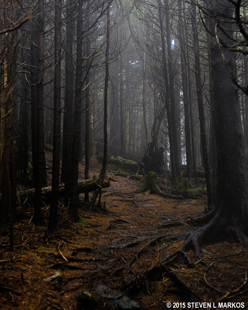 Blue Ridge Parkway RICHLAND BALSAM TRAIL (MP 431) Bringing you