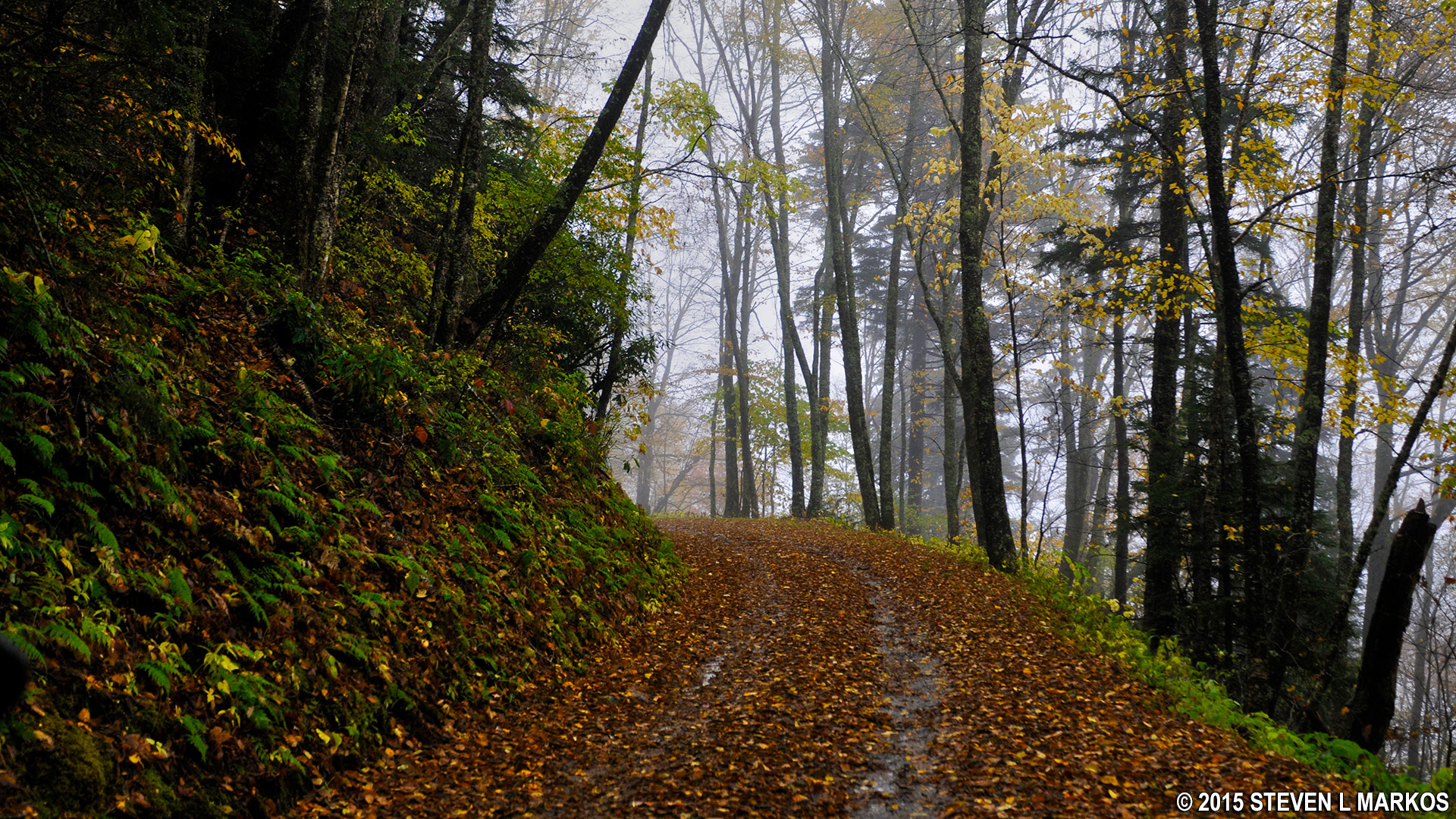 Great Smoky Mountains National Park BALSAM MOUNTAIN LOOP DRIVE