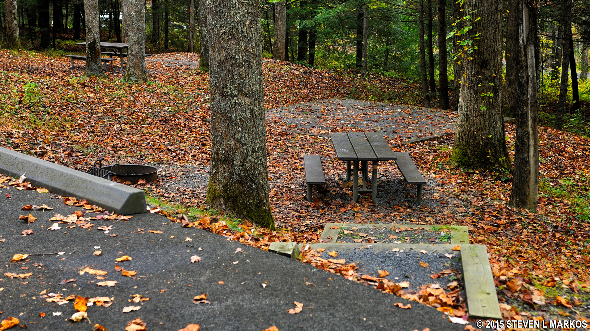 Great Smoky Mountains National Park COSBY CAMPGROUND
